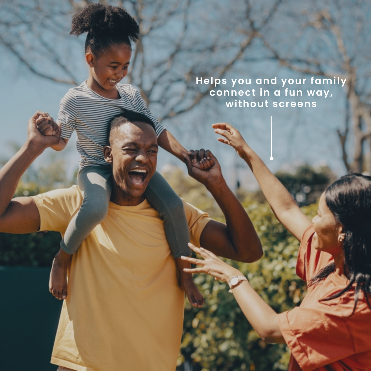 The Family Night Book